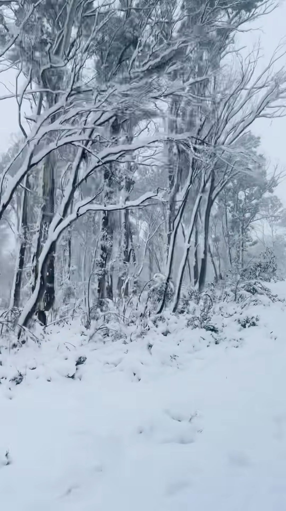 Winter: A Season for Rest, Reflection & Renewal
